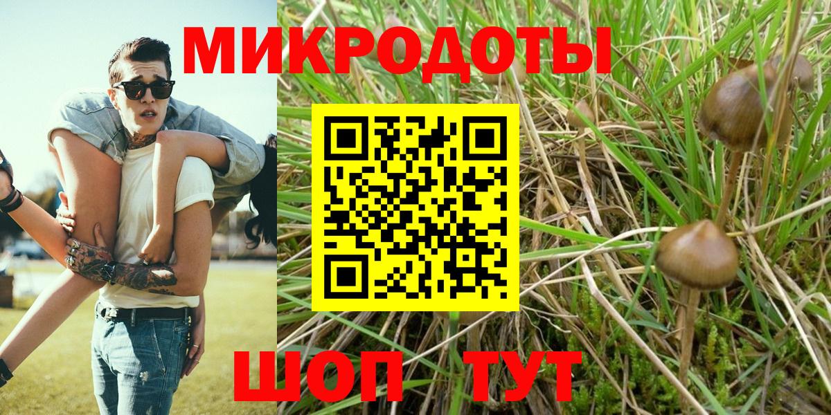 Краснокаменск  Псилоцибиновые грибы Psilocybine cubensis  Вход с VPN 